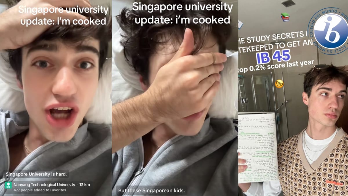 NTU Exchange Student Says He Was Smartest In His Grade Until He Came To S’pore