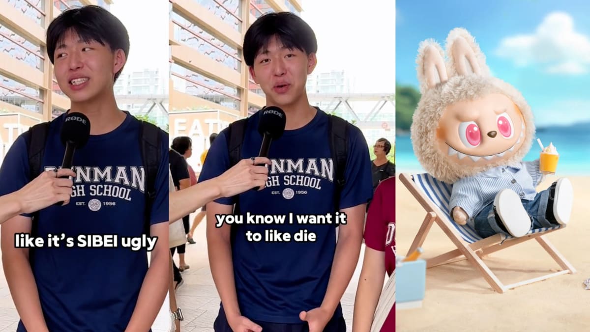 This Dunman High School Student Gives His Hilariously Honest Opinion On The Labubu Craze