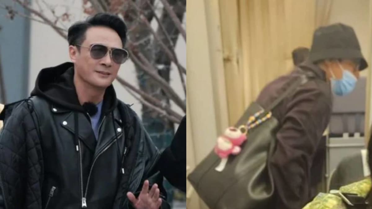 Famously Bad-Tempered Francis Ng Savagely Turns Down Fan Asking For Photo On Flight