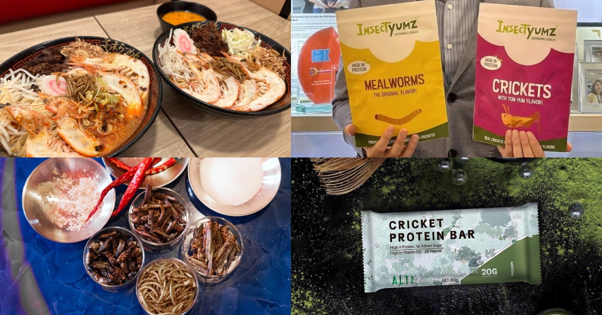 7 businesses offering edible insect products in Singapore