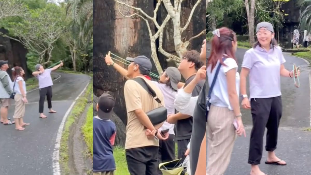 Tourist Seen Laughing While Firing Slingshot In Moo Deng’s Zoo In Thailand