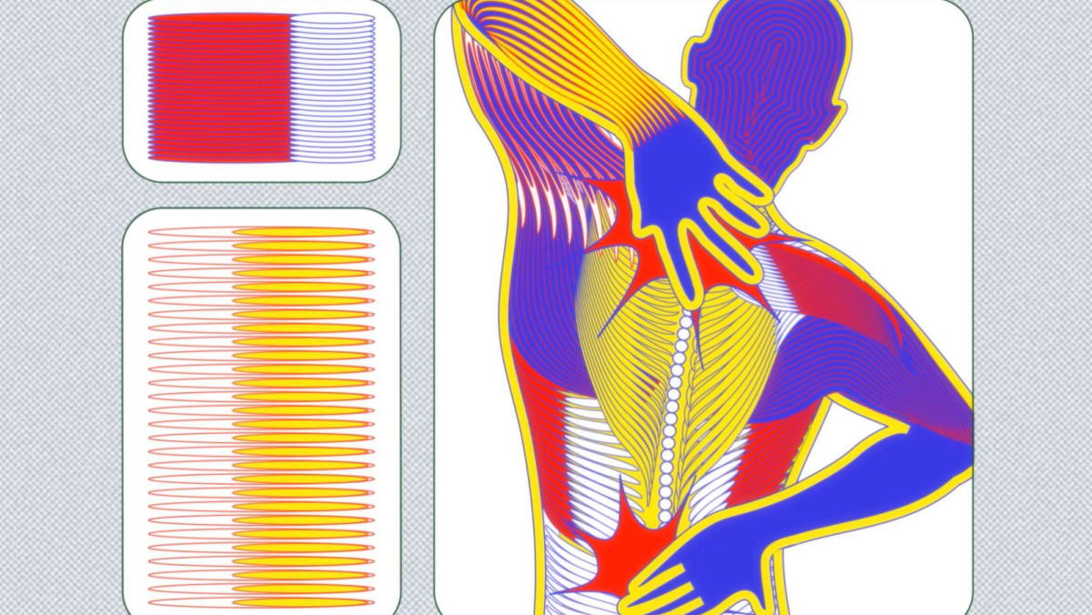 Muscle imbalance: Why repeatedly doing the same type of activity can have serious downsides