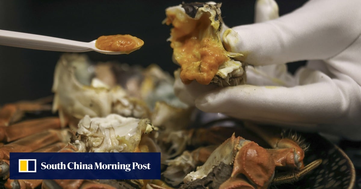 How to eat a hairy crab, with a step-by-step guide from a top Hong Kong chef