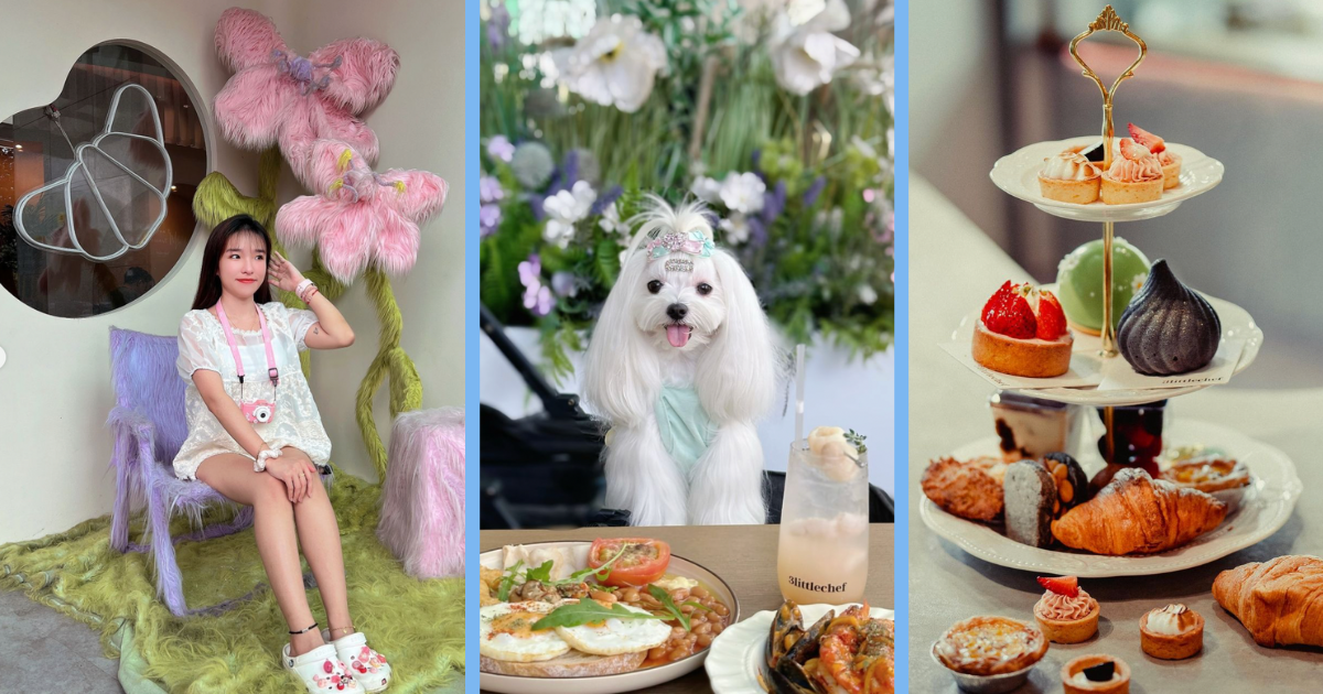 Pet-Friendly Cafe Just 10 Minutes Away From JB CIQ Has Furry Floral Decor, Pastries & Mains