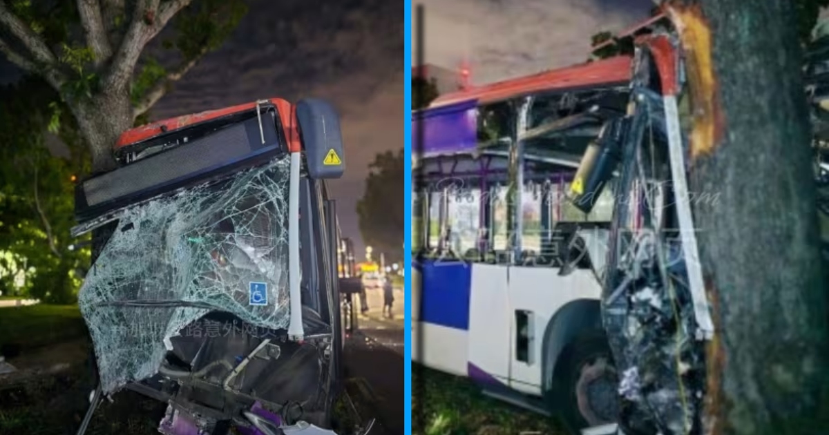 SBS Bus Driver Dies After Bus Reportedly Skidded, Crashing Into Multiple Structures