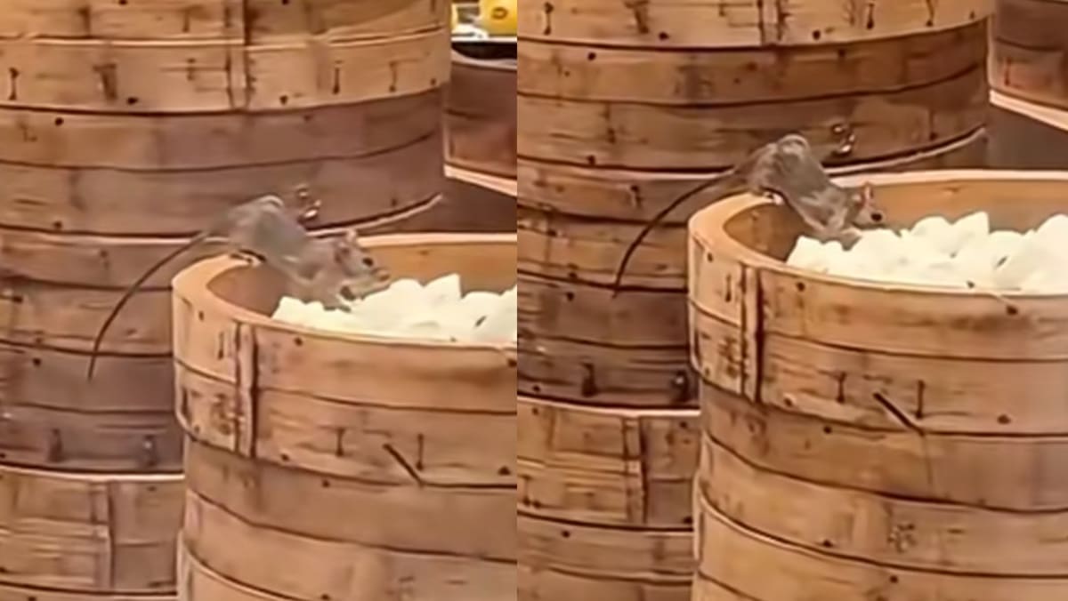 Rat Caught Eating Char Siew Bao In Chinese Restaurant, Netizens Ask If Its From Ratatouille