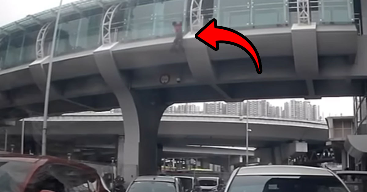 Man Jumped Off Bridge at JB Checkpoint to Evade Immigration Checks, Landing on a Car