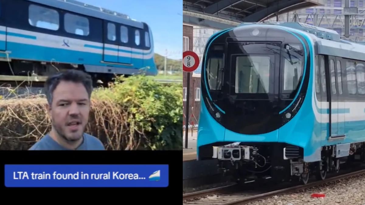 New LTA Train For Jurong Region Line Seen ‘Chilling’ In Rural Korea