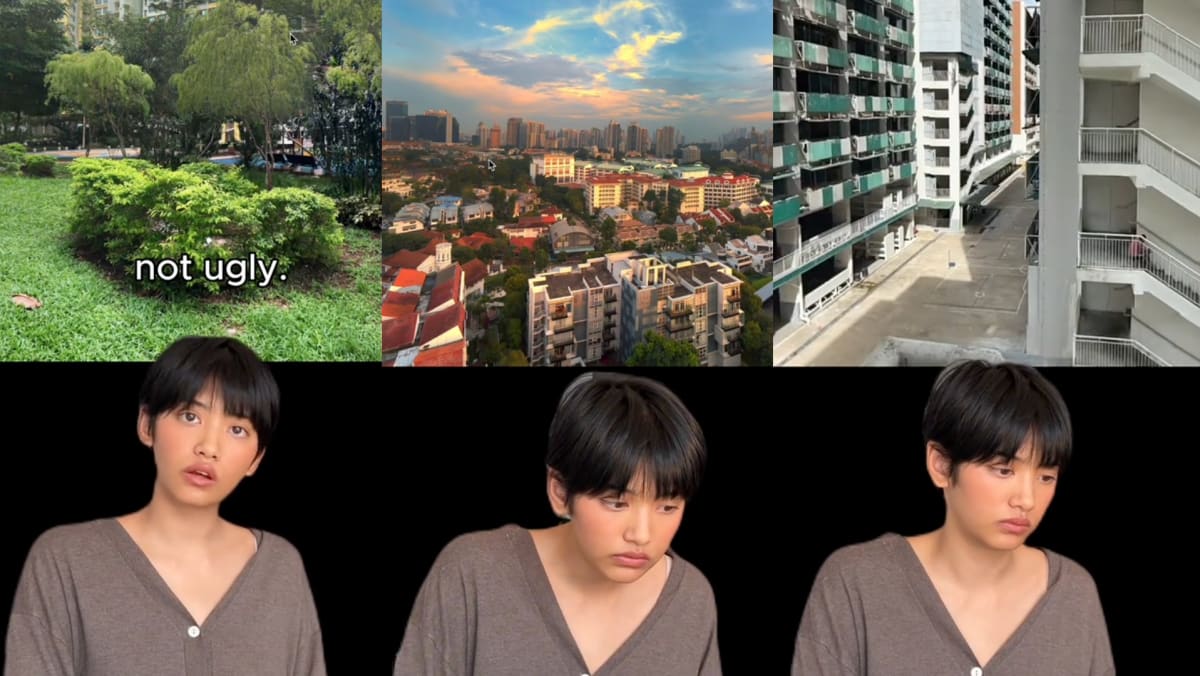 TikToker Uses Google Earth To “Explore S’pore Until It’s Ugly”, Stops At What Looks Like A Foreign Worker Dormitory In CCK