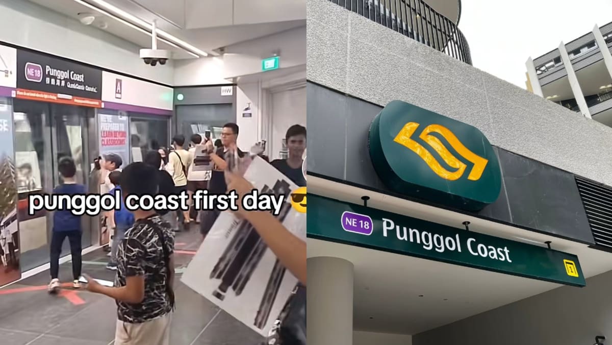 Excited Kids Cheer For Trains Arriving At New Punggol Coast MRT Station