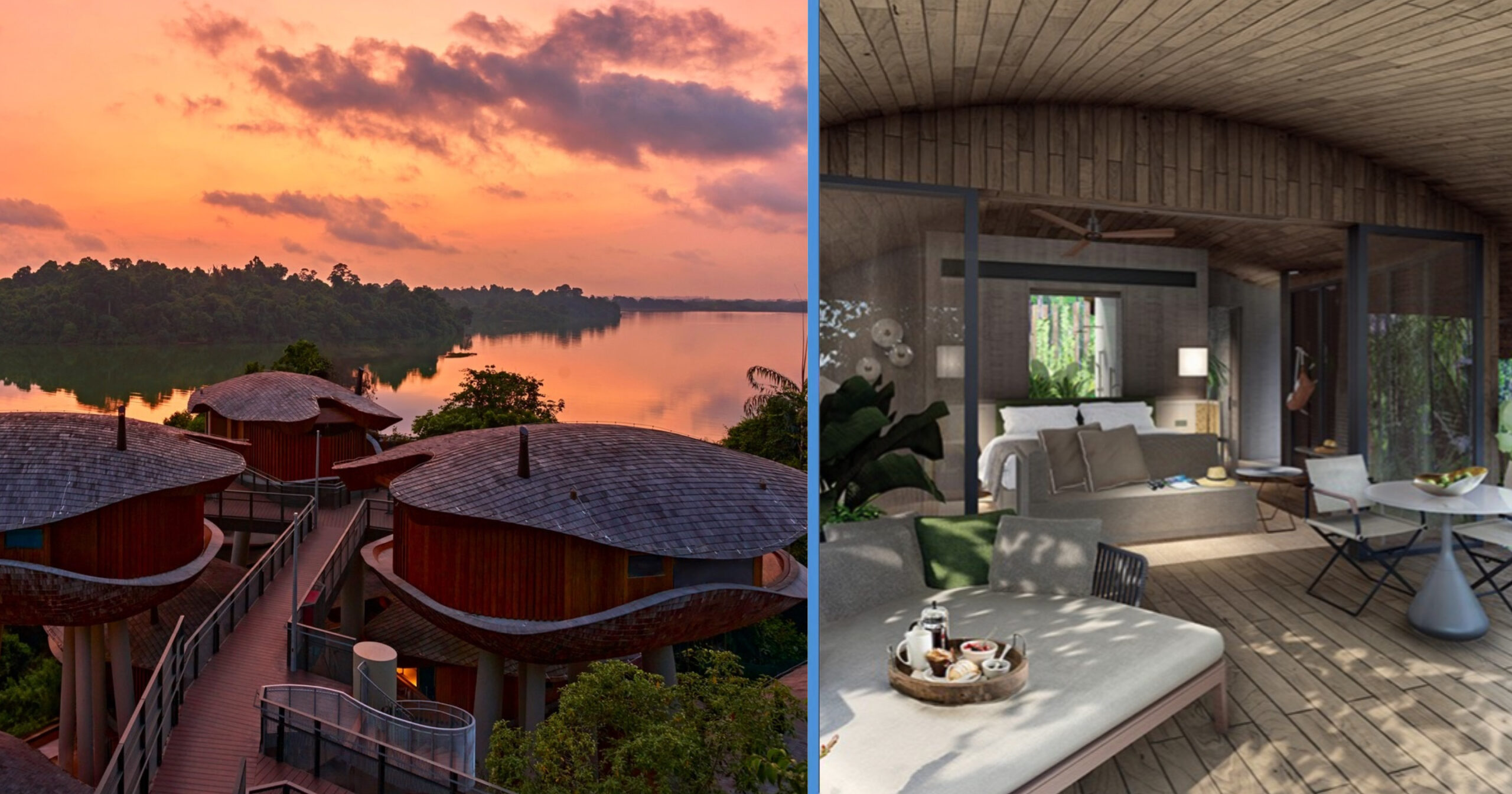 Everything About the New Mandai Rainforest Resort, Which Will Open in April 2025