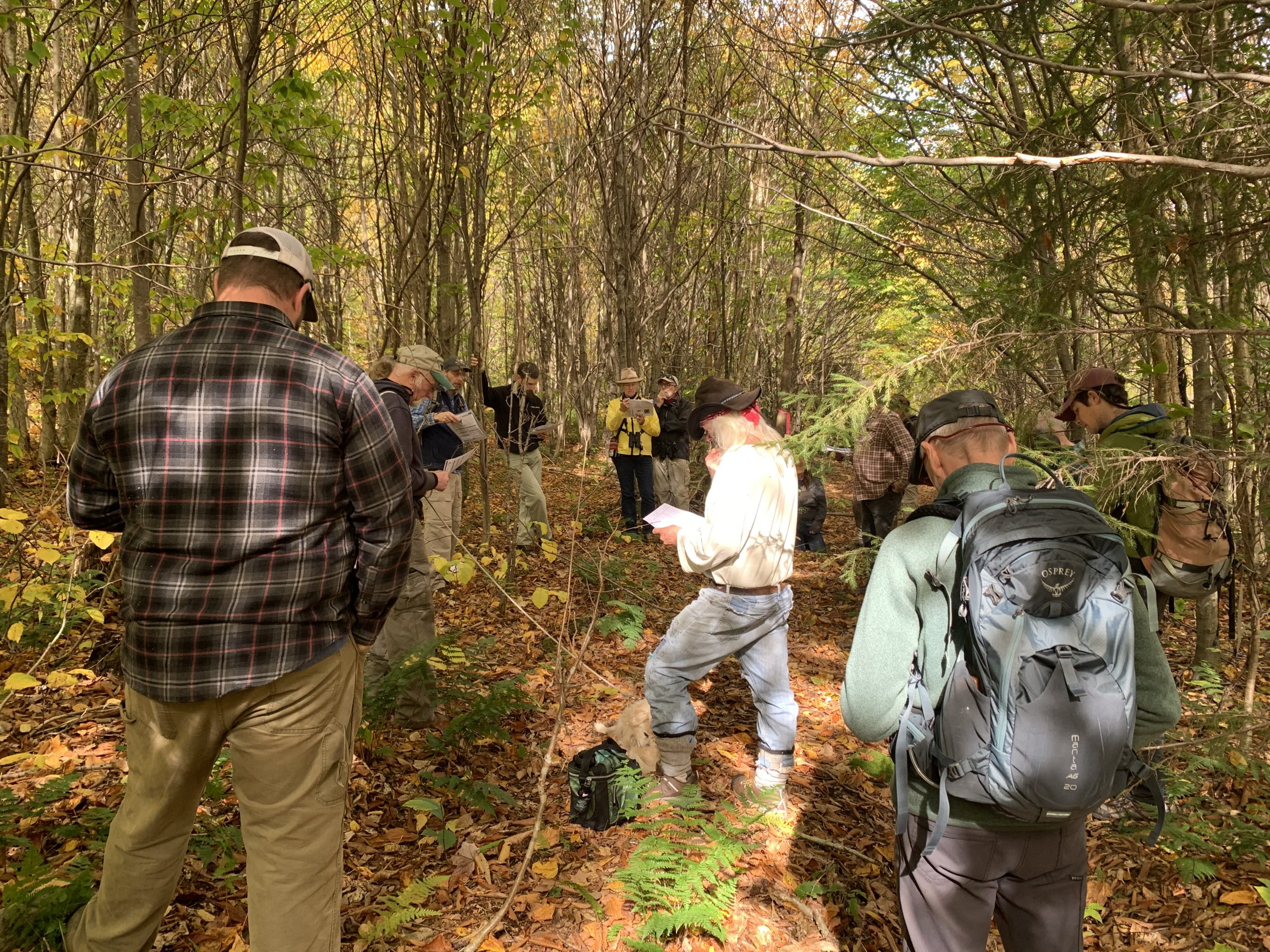 Forest Service issues draft management plan for 72,000 acres in Rutland County