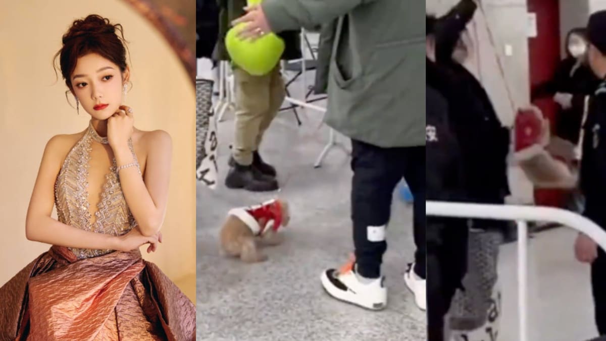 Chinese Singer Who Studied In S’pore Criticised For Lifting Her Dog Up By Its Leash