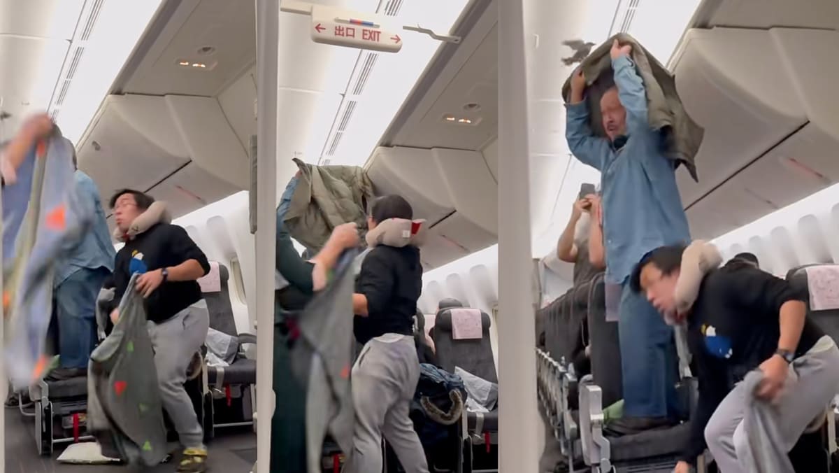 Eva Air Passengers Try To Catch Bird Flying Amok On Their Flight