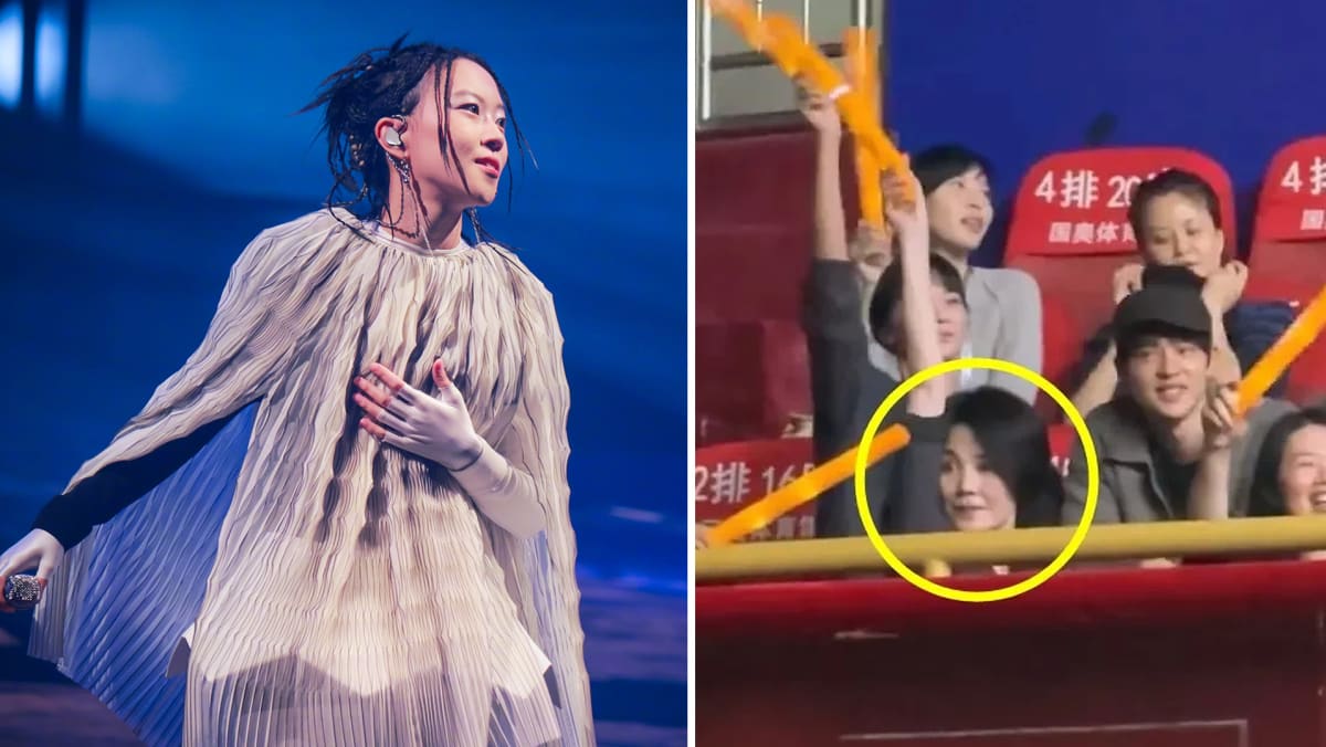 Faye Wong Seen Fangirling Over Daughter Leah Dou At Beijing Concert