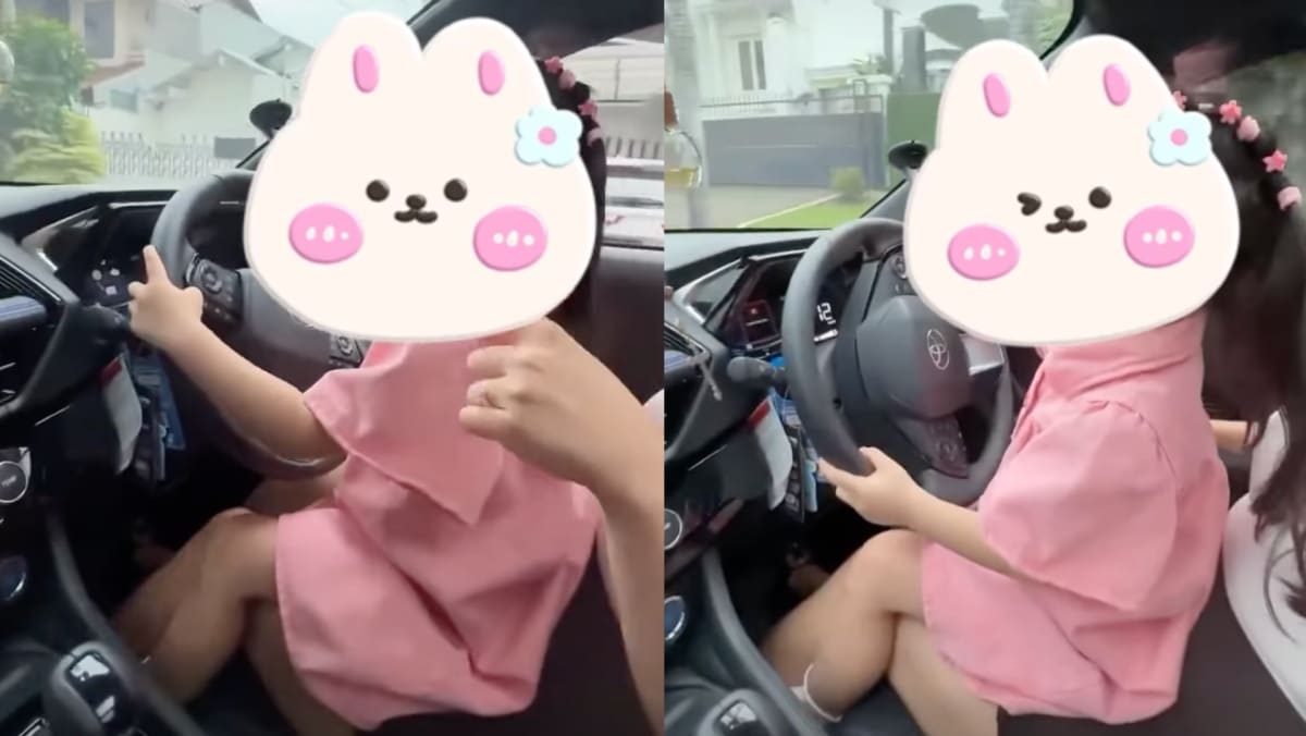 Woman Gives 5-Year-Old Daughter Driving Lessons