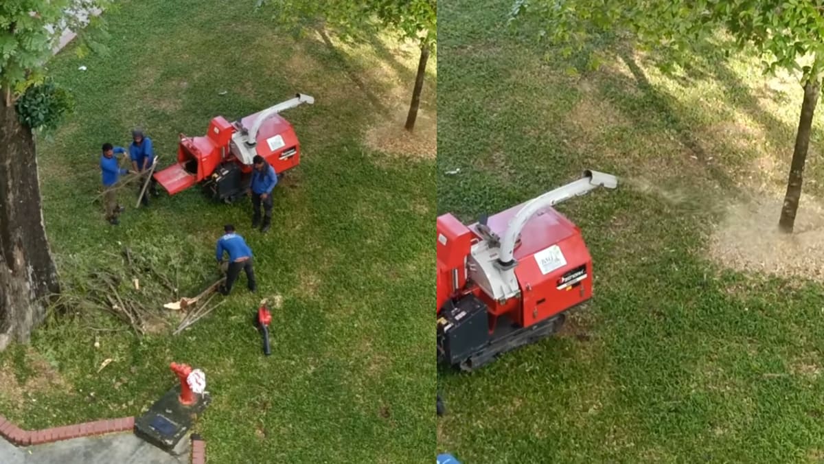 Woman Surprised To See Fallen Branches Turned Into Mulch In S’pore, Doesn’t Understand How It’s Sustainable Or Cost-Efficient