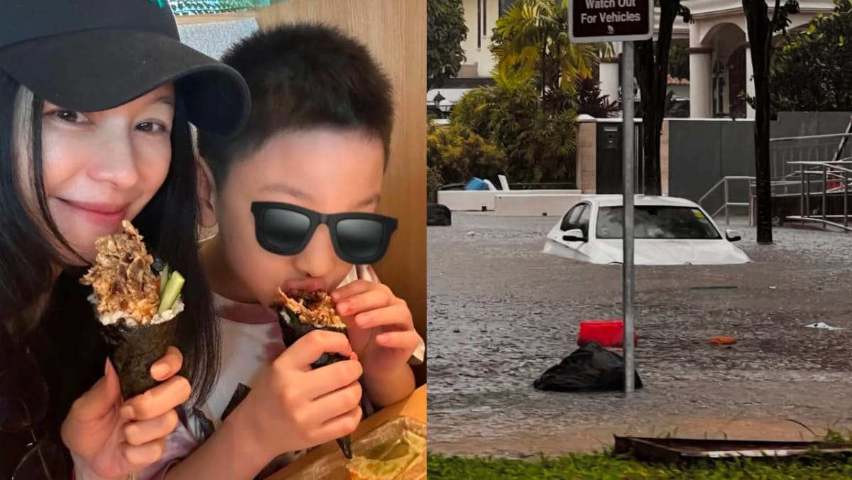 Vivian Hsu Got Trapped In Bukit Timah Flood ‘Cos She Went To Buy Din Tai Fung For Her Son