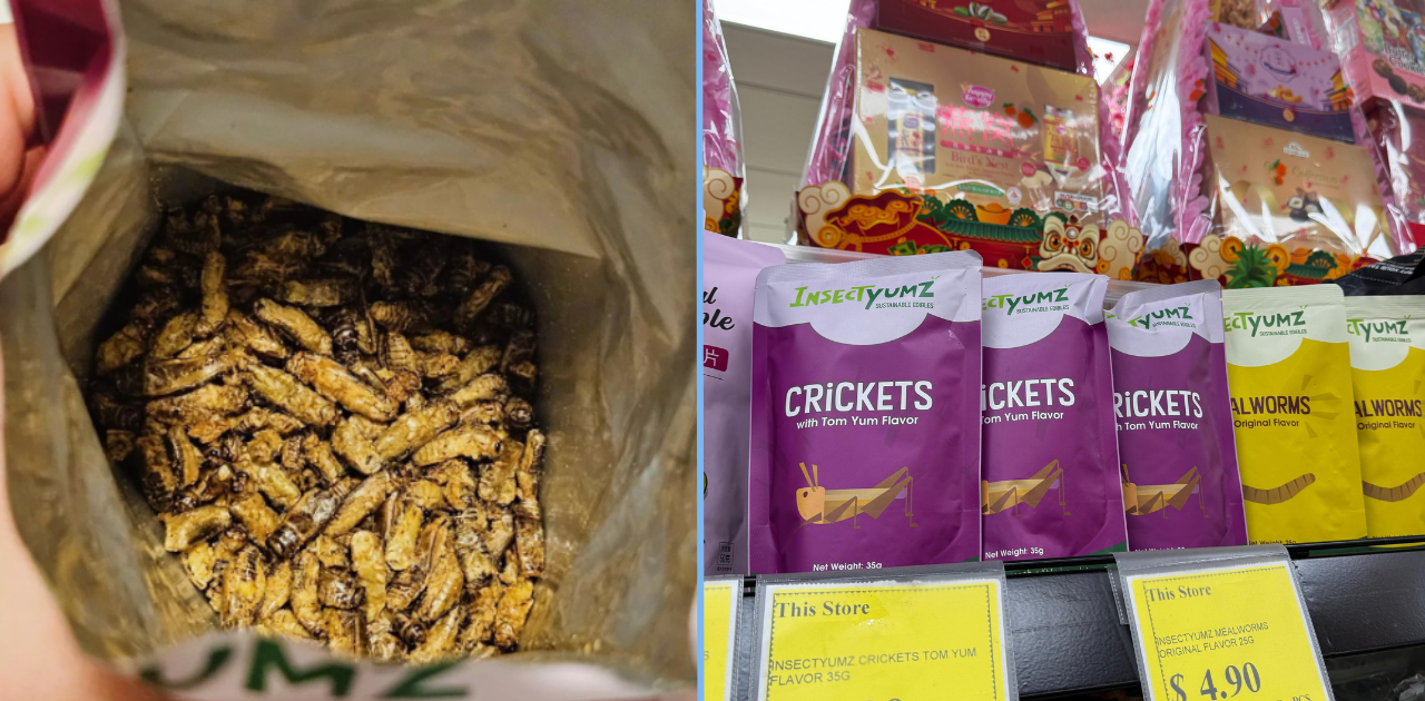 You Can Now Buy These Tom Yum Crickets in Sheng Siong for .90 a Pack