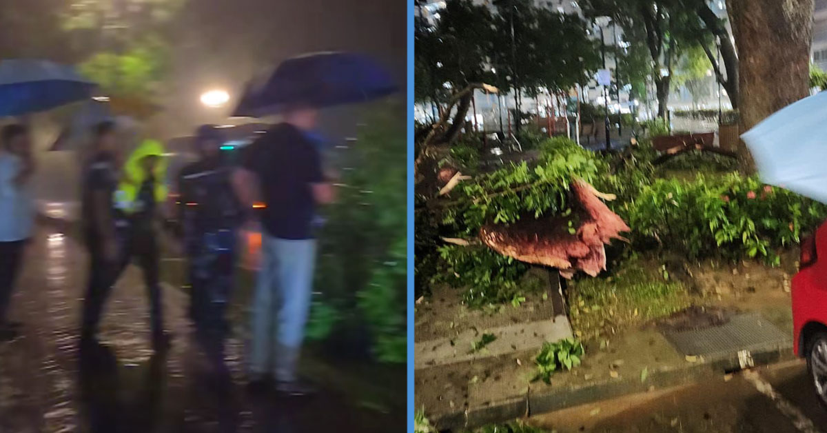 The Non-Stop Rain in S’pore Has Led to Flash Floods, Toppled Trees & Traffic Disruptions