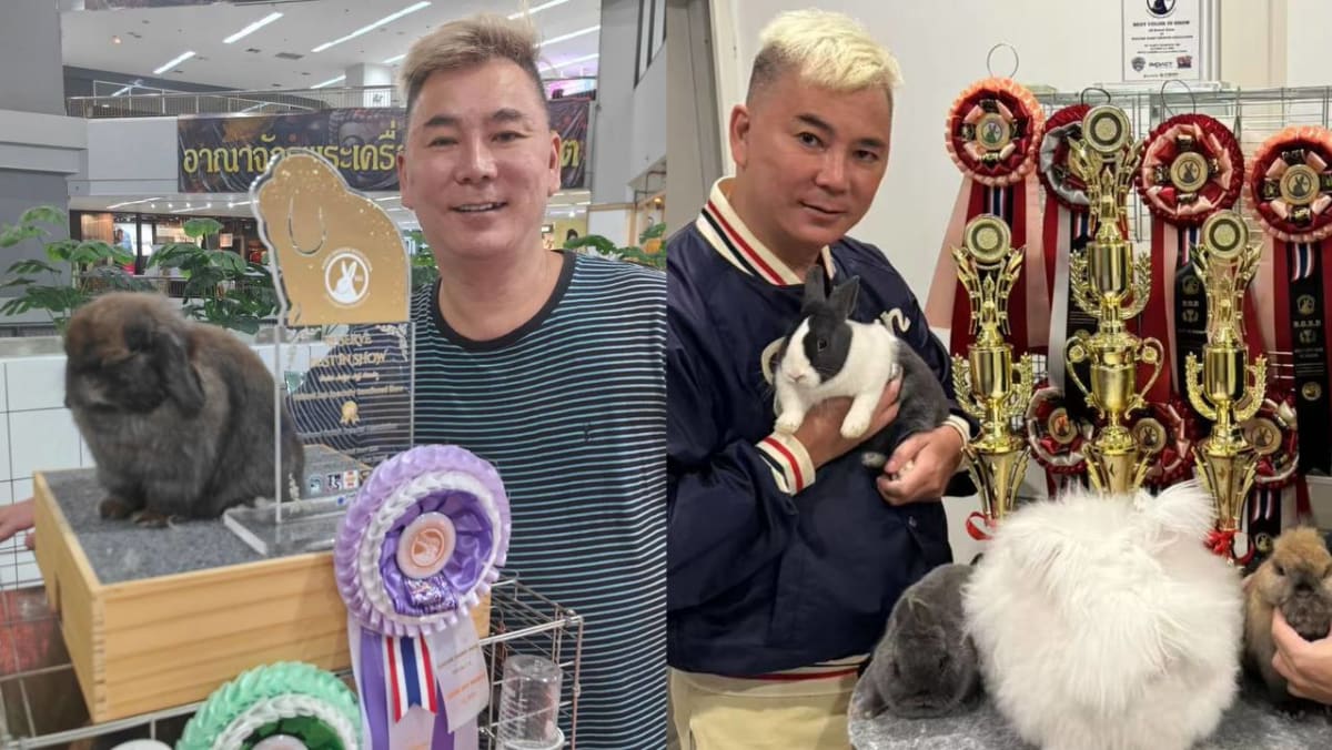 Ex Celeb Hairstylist Addy Lee Is Now A Rabbit Breeder In BKK, Tells Ex-Clients He Will Only Cut Their Hair Again If They “Turn Into A Rabbit”