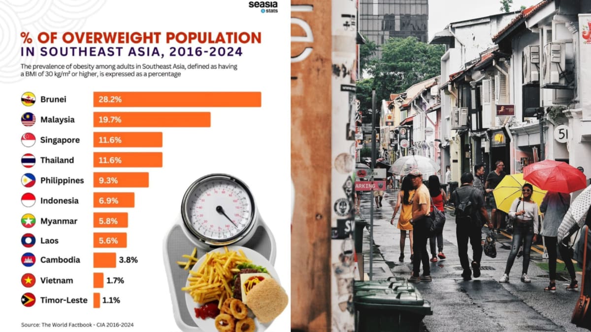 Singapore Has 3rd Highest Percentage Of Overweight Population In Southeast Asia