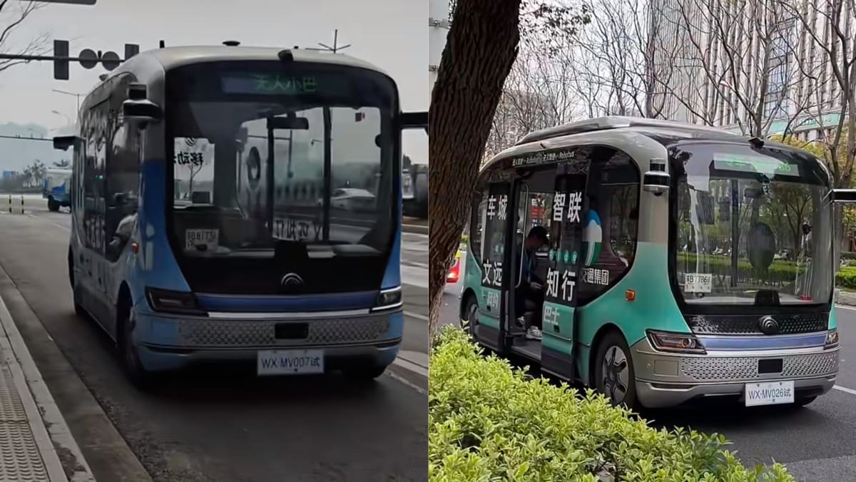 Woman Impressed By China’s Driverless Buses, Where Fares Start From Salt=