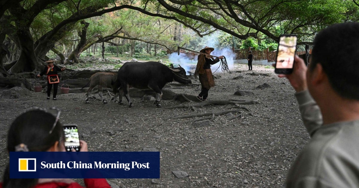 Chinese villagers go viral with set-up country scenes, charge tourists to take photos