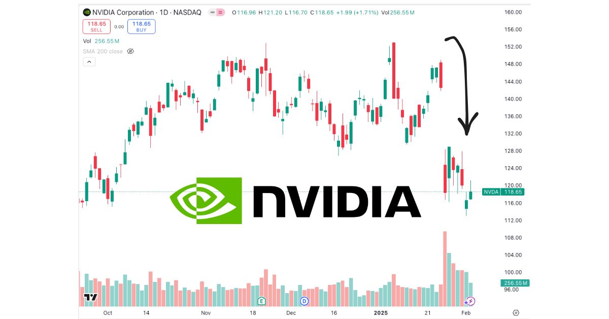 This Trader Shorted Nvidia | Dr Wealth