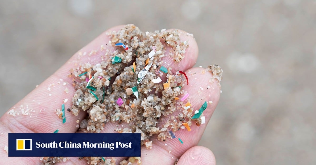 Microplastic levels in our brains are rising fast, study finds