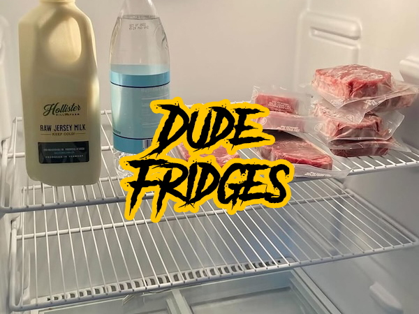 Dude fridges have us reprioritizing our kitchen goals (20 Photos)