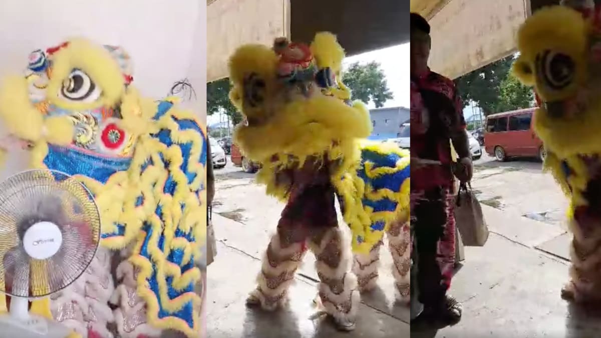 Lion Dance Troupe Goes Viral For Performing Without Drums Or Cymbals